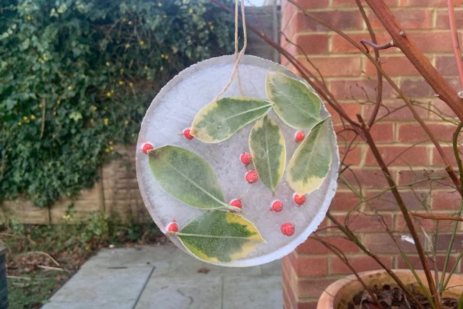 Milly frozen plant art