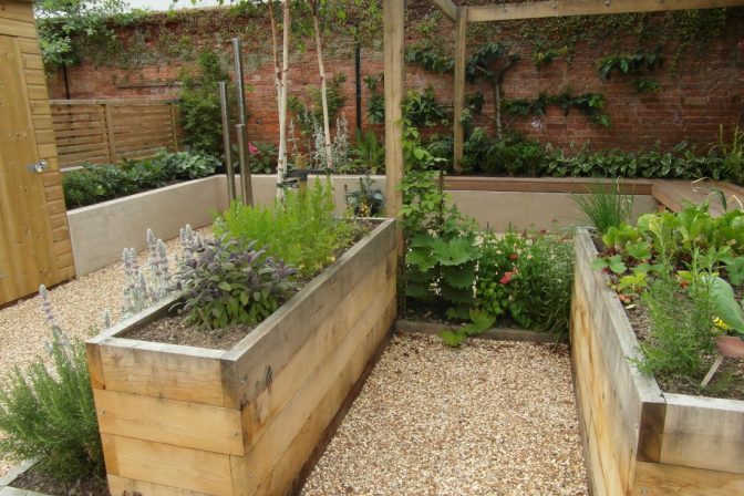 Wooden and concrete raised beds filled with herbs and plants