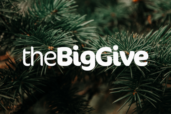 The Big Give