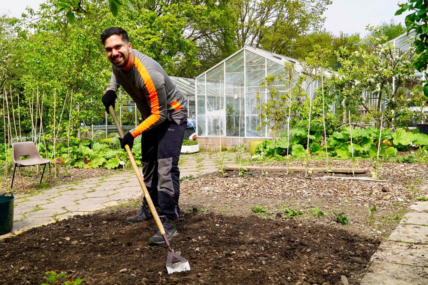 A happy gardener hoes over his vegetable patch