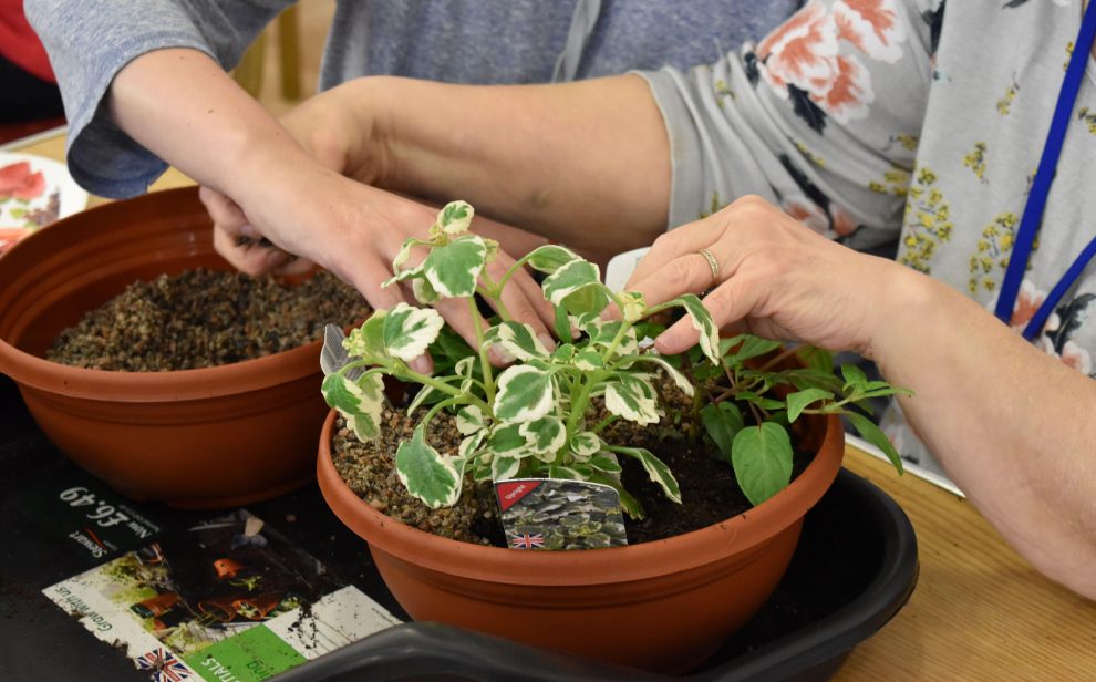 Two people including a stroke survivor plant up a container at a table