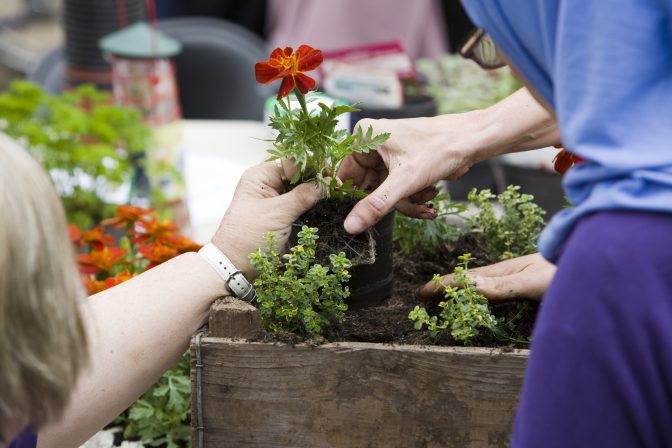 Photo of hands working together