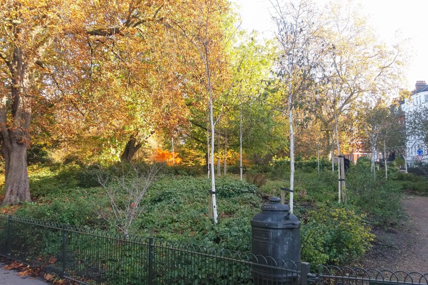 Winter garden London 2 of 2