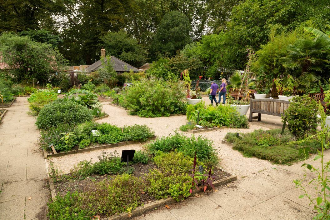 A beautiful paved garden full of herbs in beds