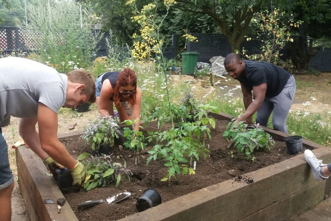 A group of people gardening together around a raised bed