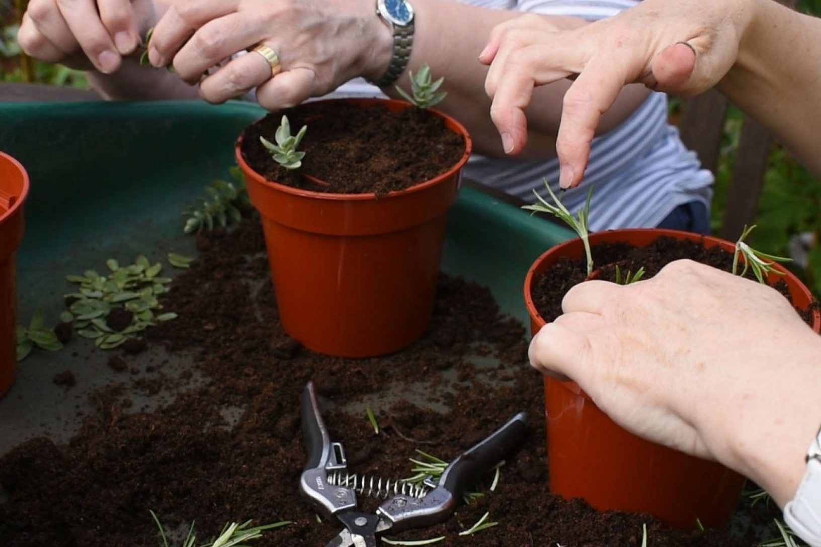4 hands in potting tidy0001 2