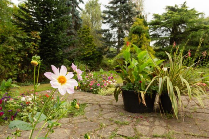 Birmingham formal gardens Sep 2021 2