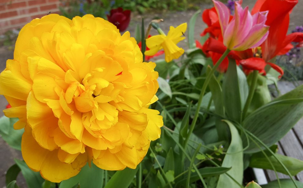 April at Reading 2 of 8