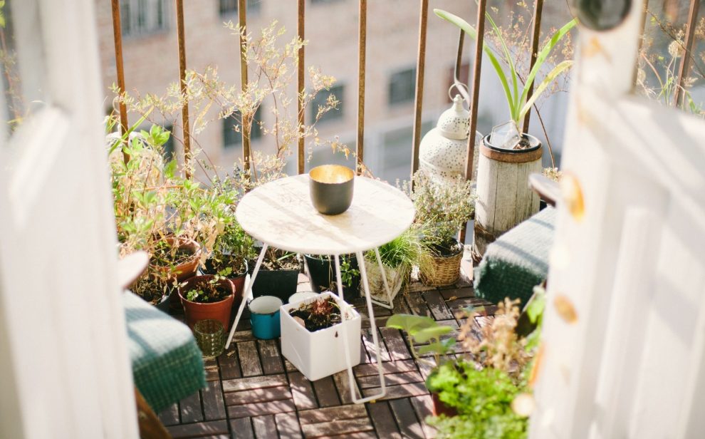 Small balcony garden - Artur aleksanian unsplash