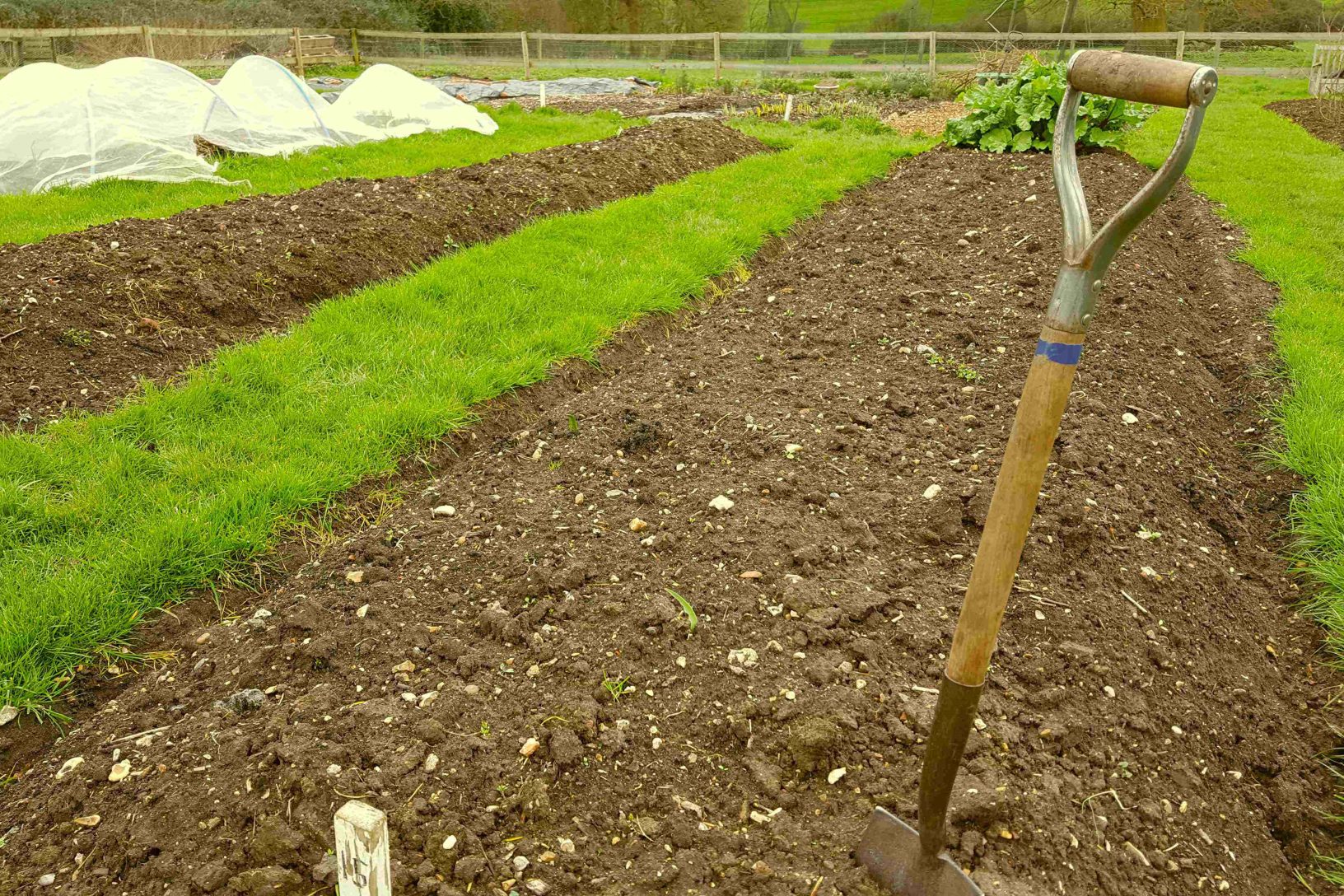 Soil in an allotment with spade