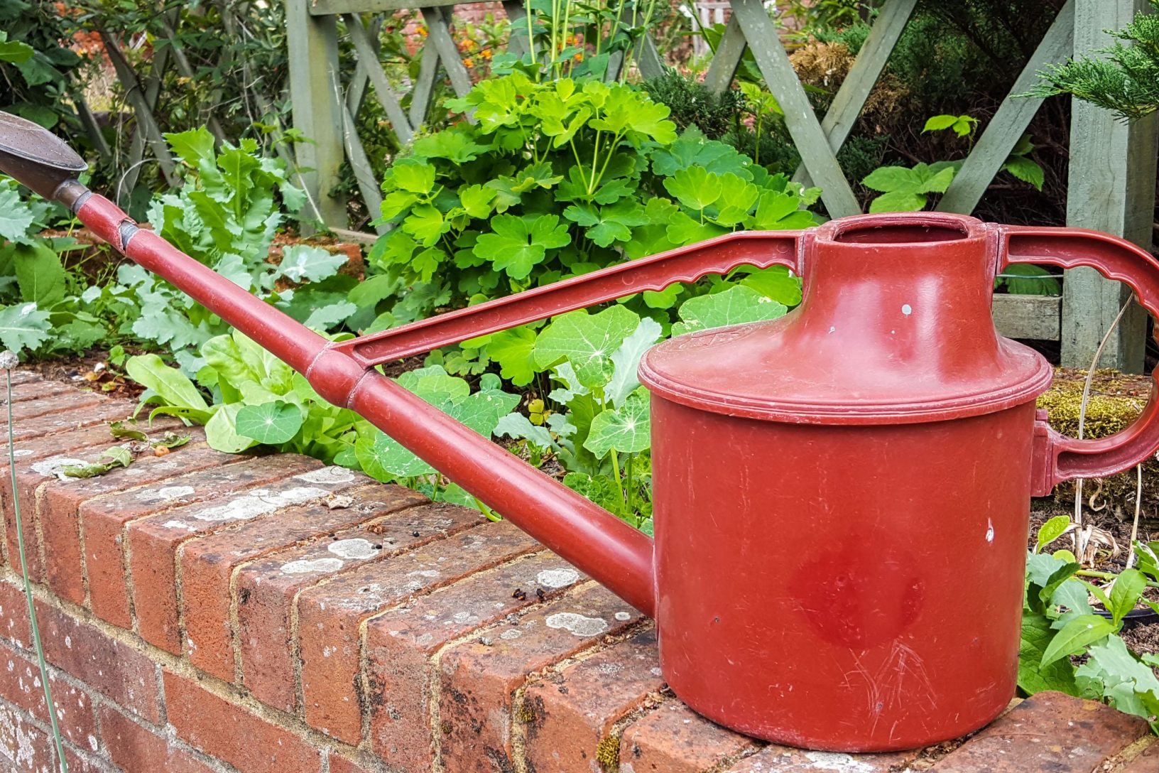 Watering can 1