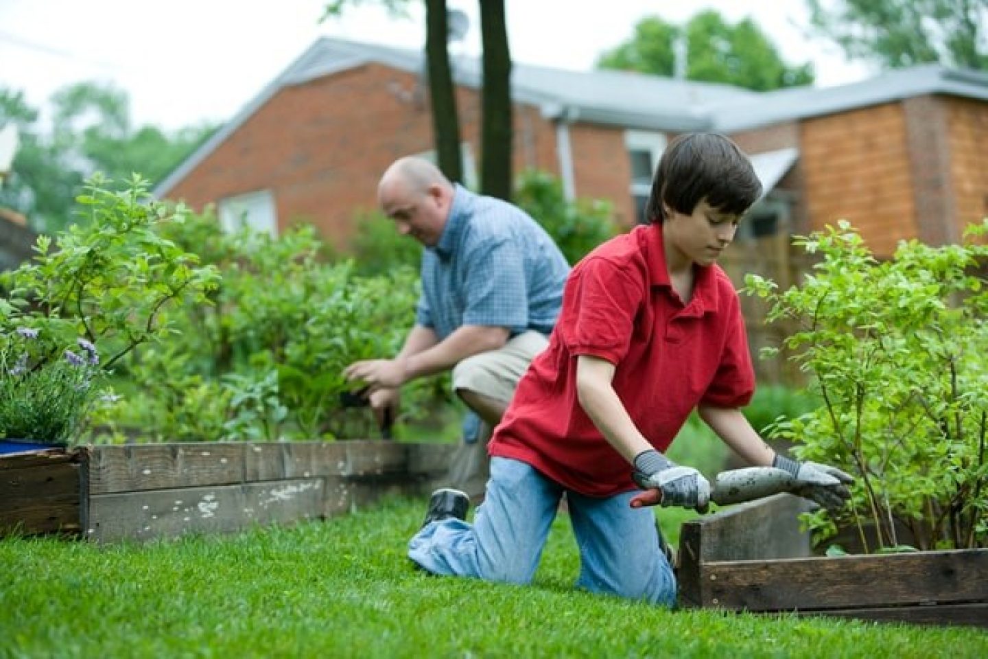 Boy man gardening unsplash