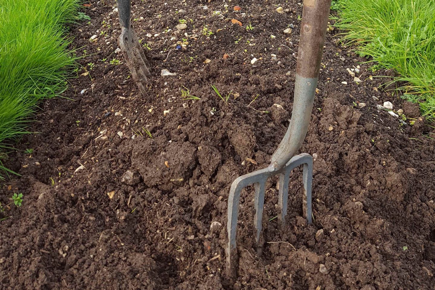 Garden forks in the soil