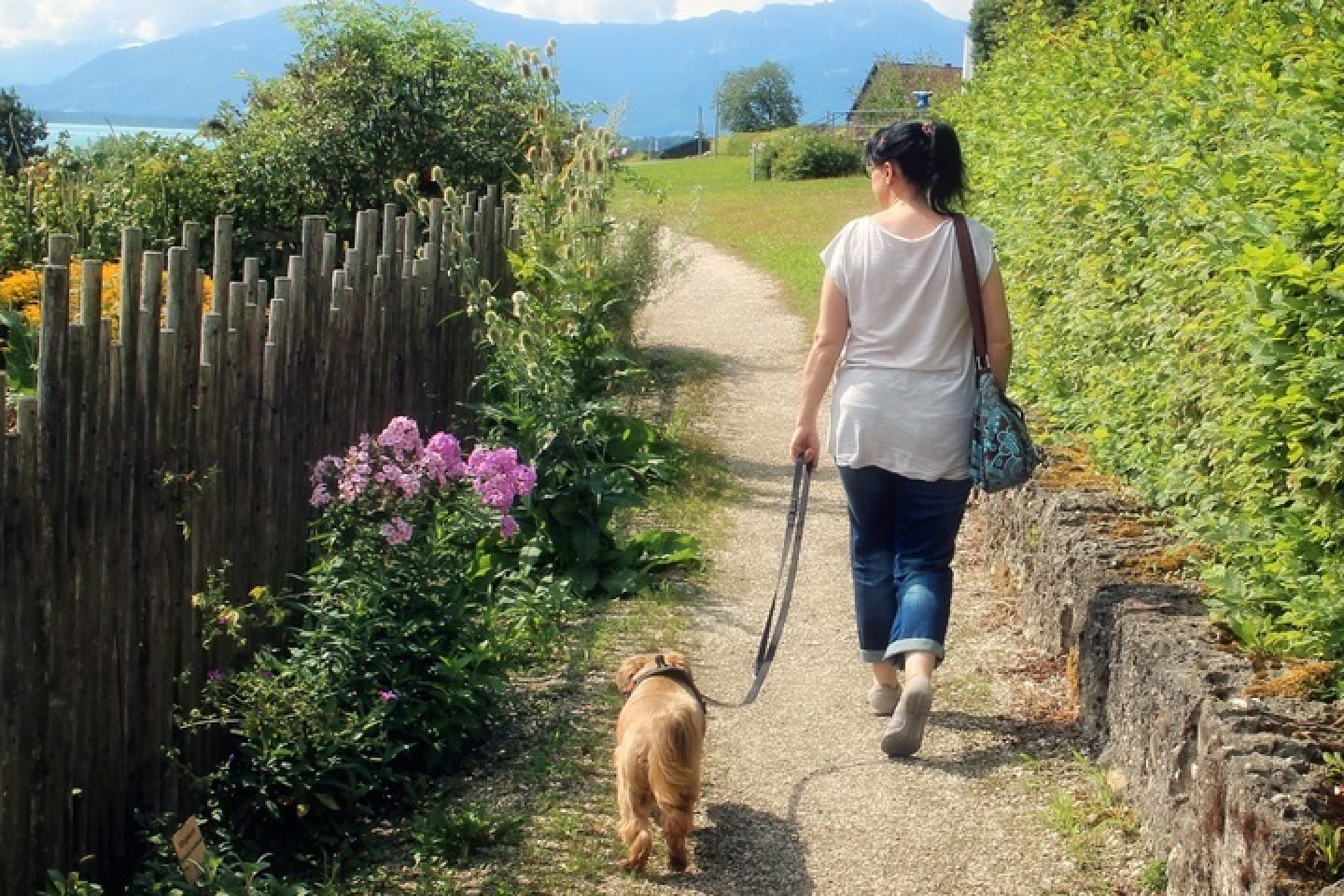 A person walking their dog down a flower-lined lane