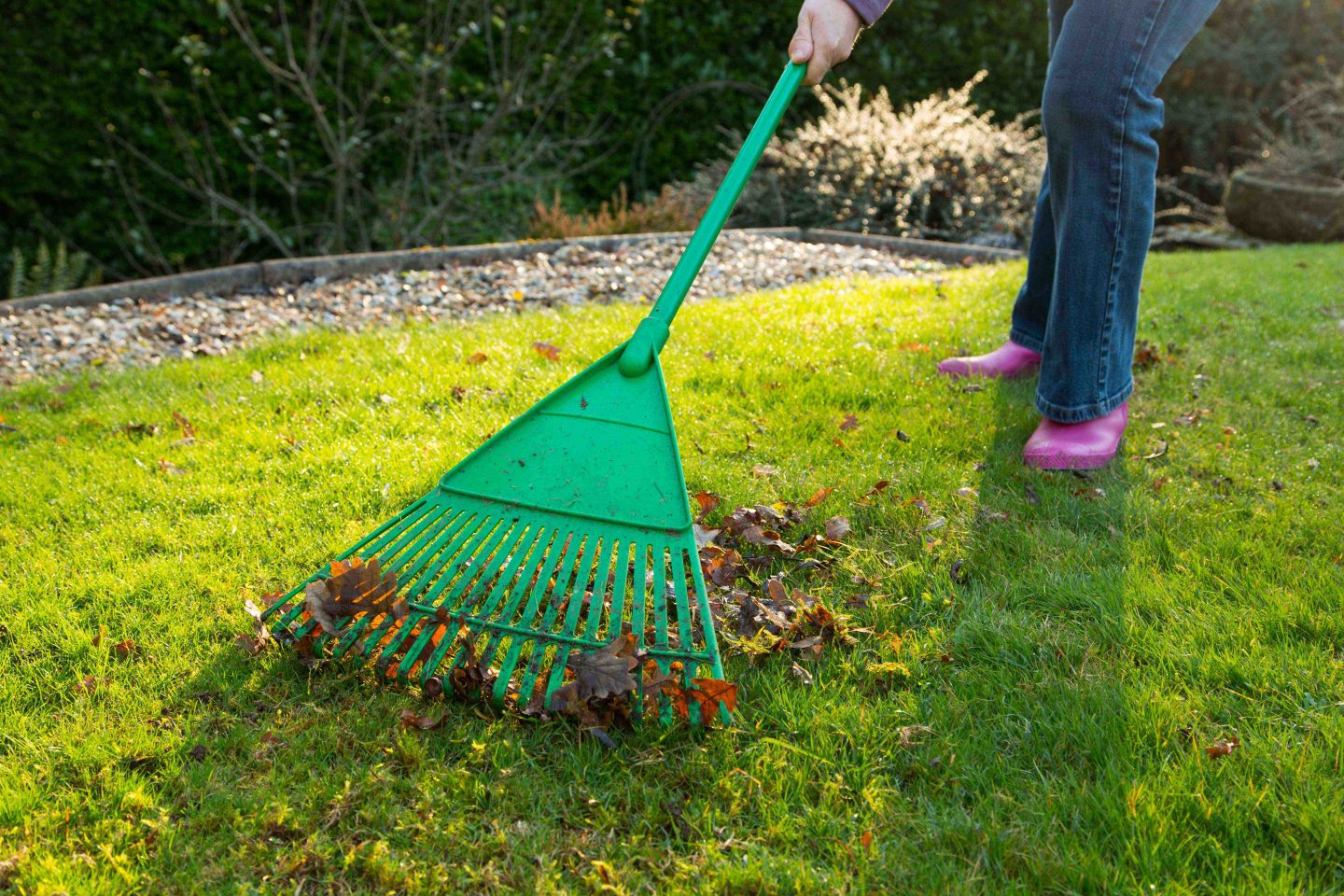 A person rakes leaves using a green leaf rake