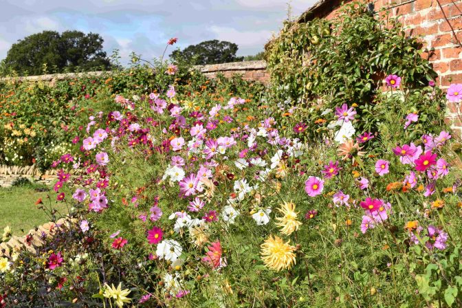 Bridewell Garden lo res 4