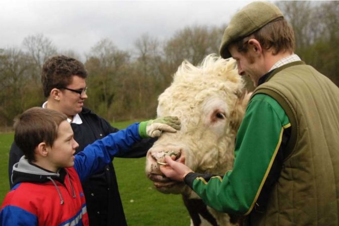 Care farming photo credit Tickwood Care Farm TW