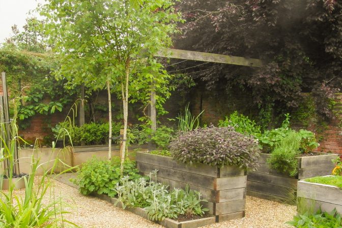 Tree out of sight garden 1 of 1