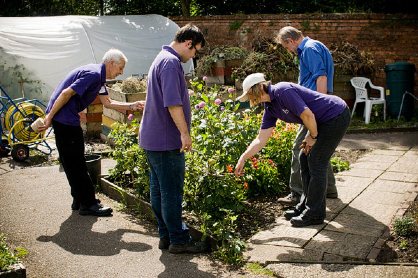 Clients volunteers at Trunkwell