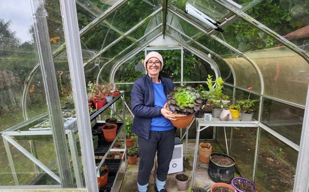 Katy B greenhouse web