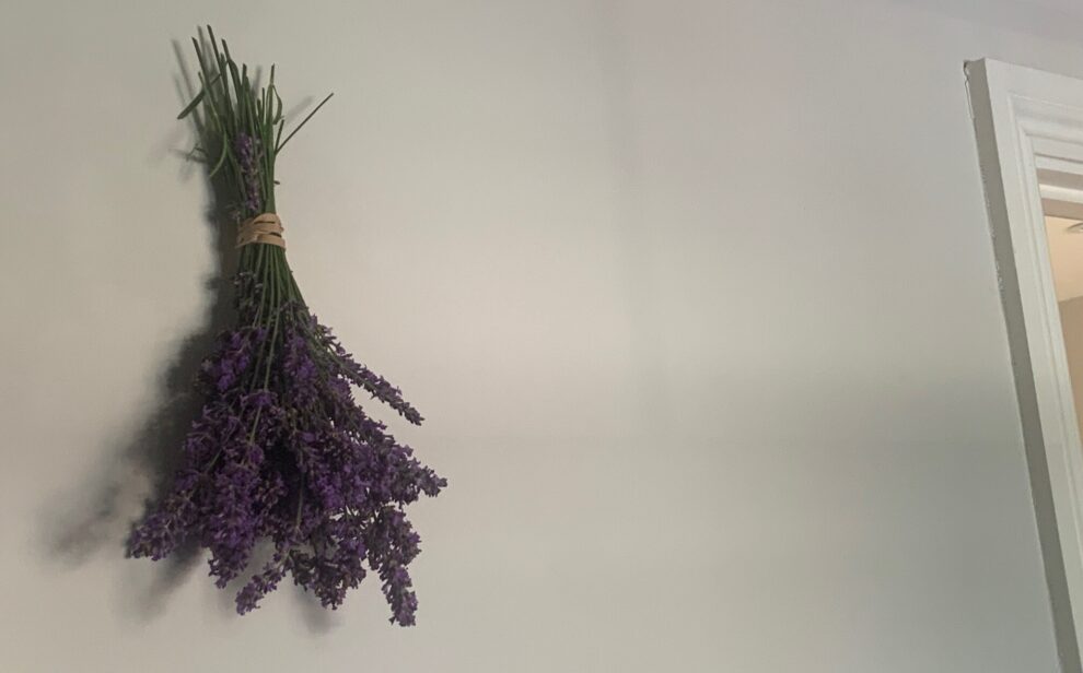 Lavender hanging from wall