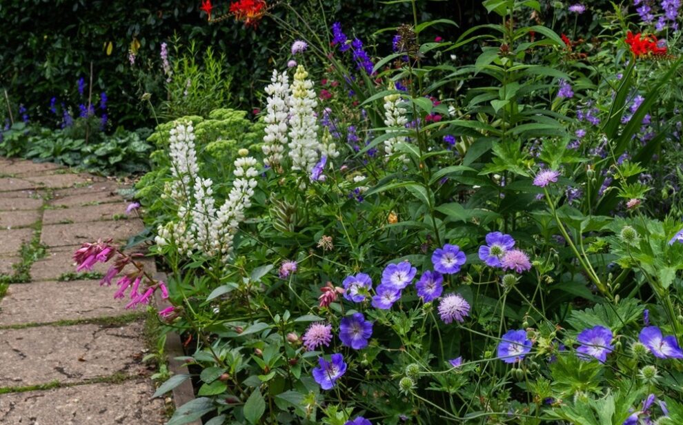 Thrive Reading pretty flower border