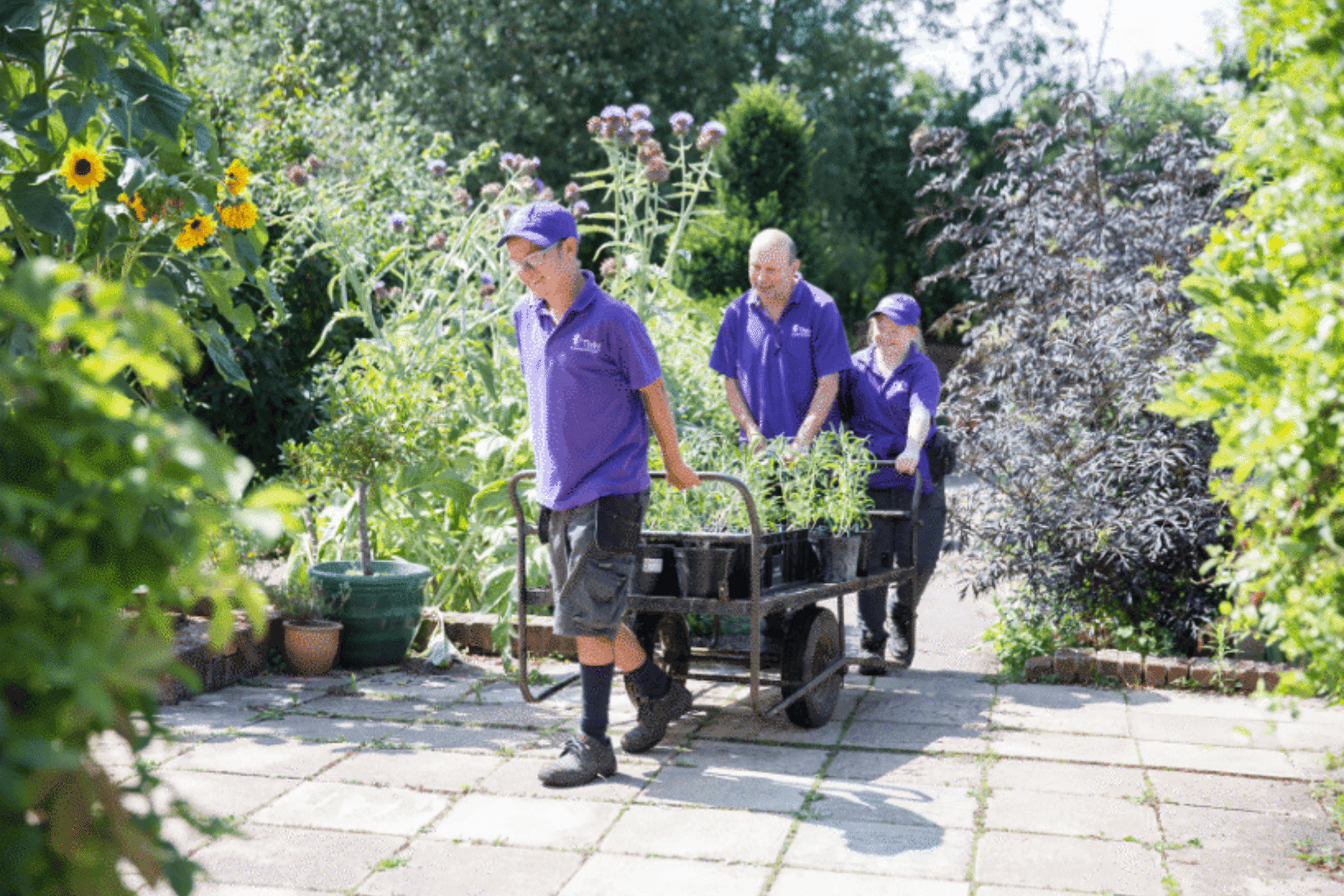 Client gardeners teamwork
