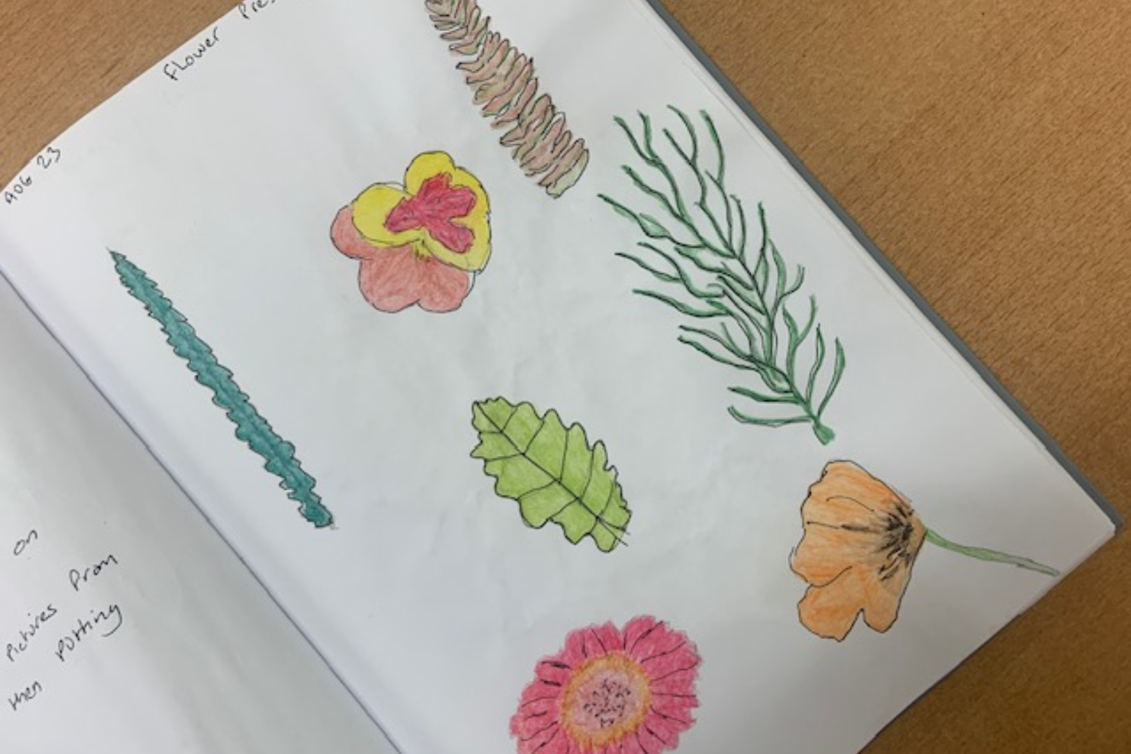 Nature sketchbook pressed flowers