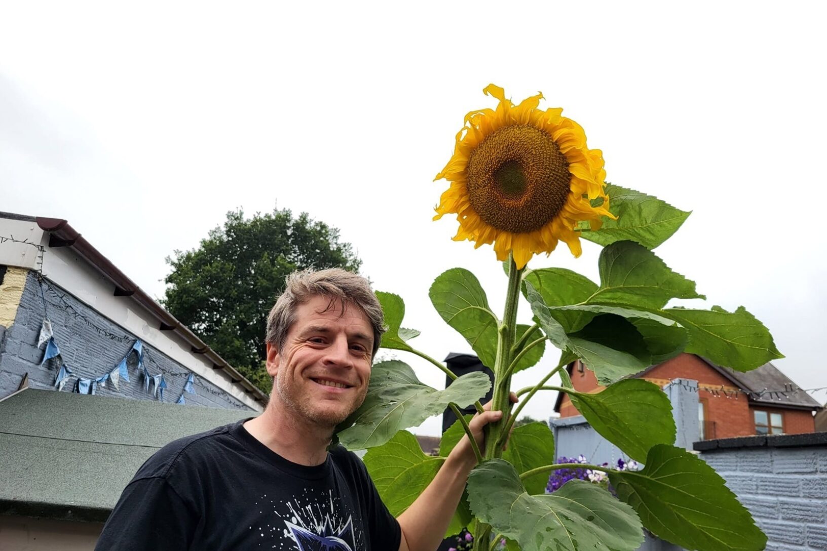 Rob with sunflower