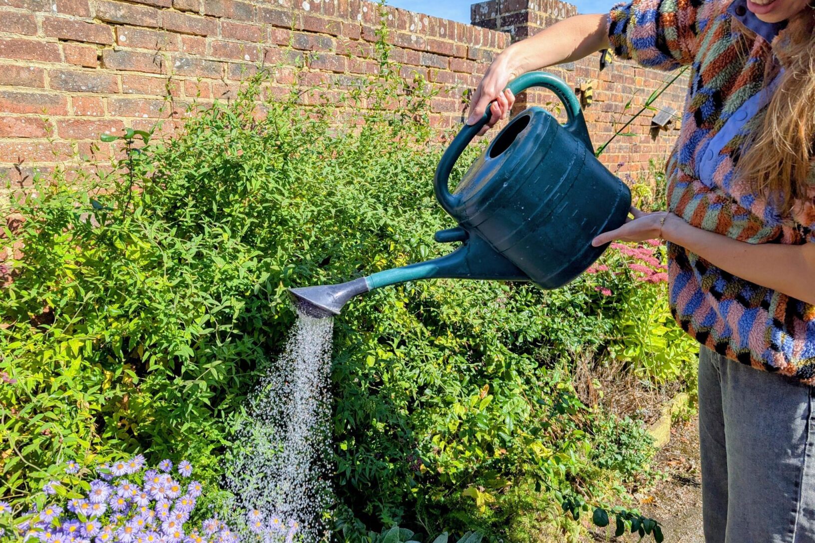 Watering in the garden Thrive Reading