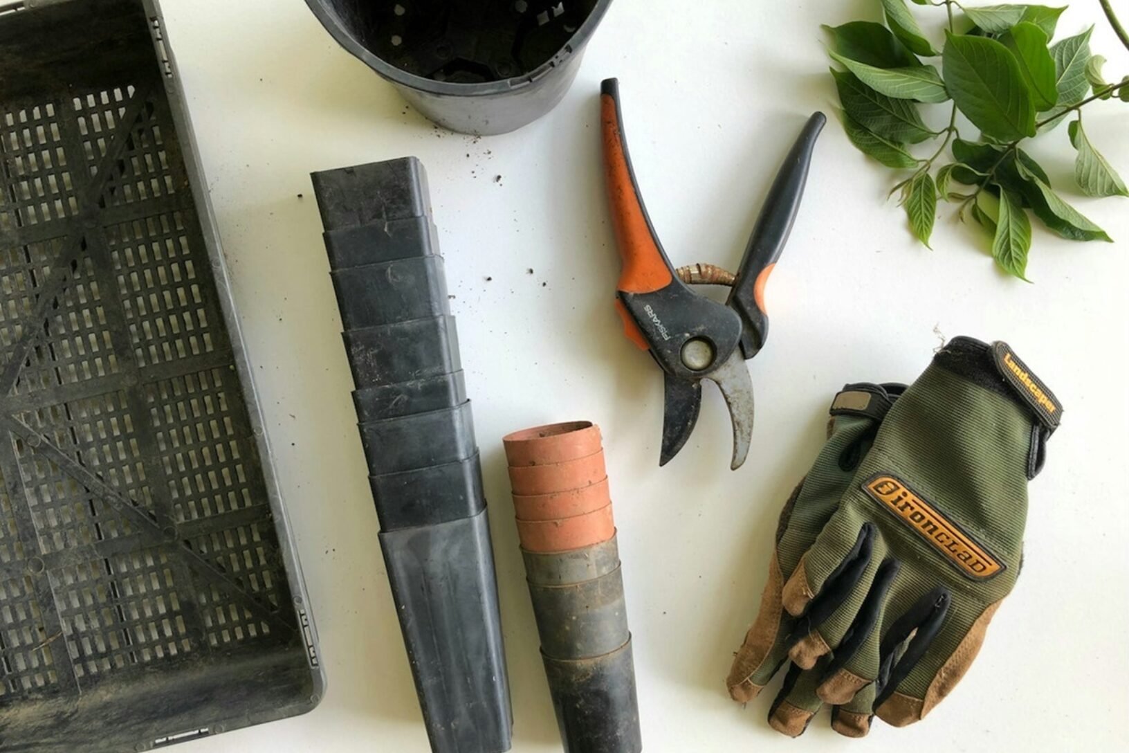 Eco warrior princess tools gloves secateurs unsplash
