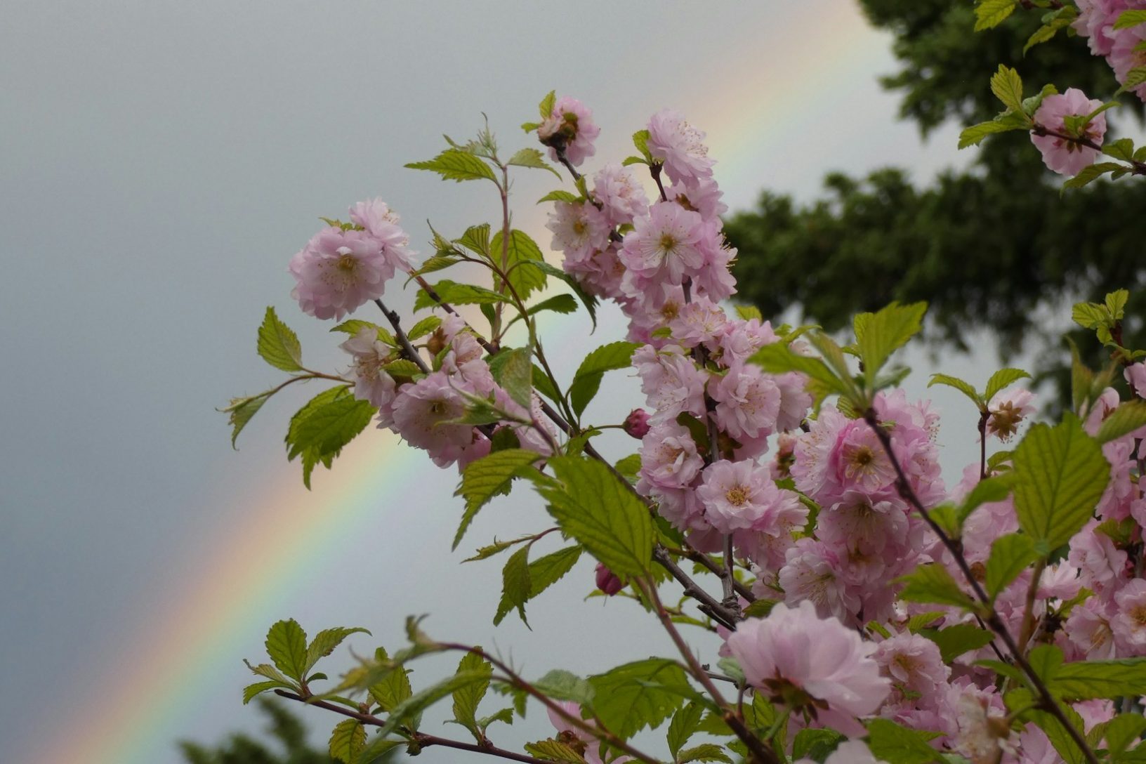 Kym mackinnon ry34 RKJ5d Q0 unsplash