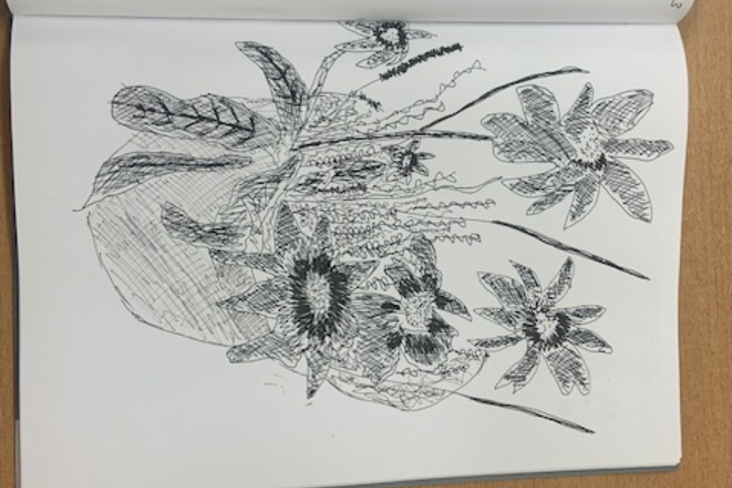 Black and white nature sketchbook drawing