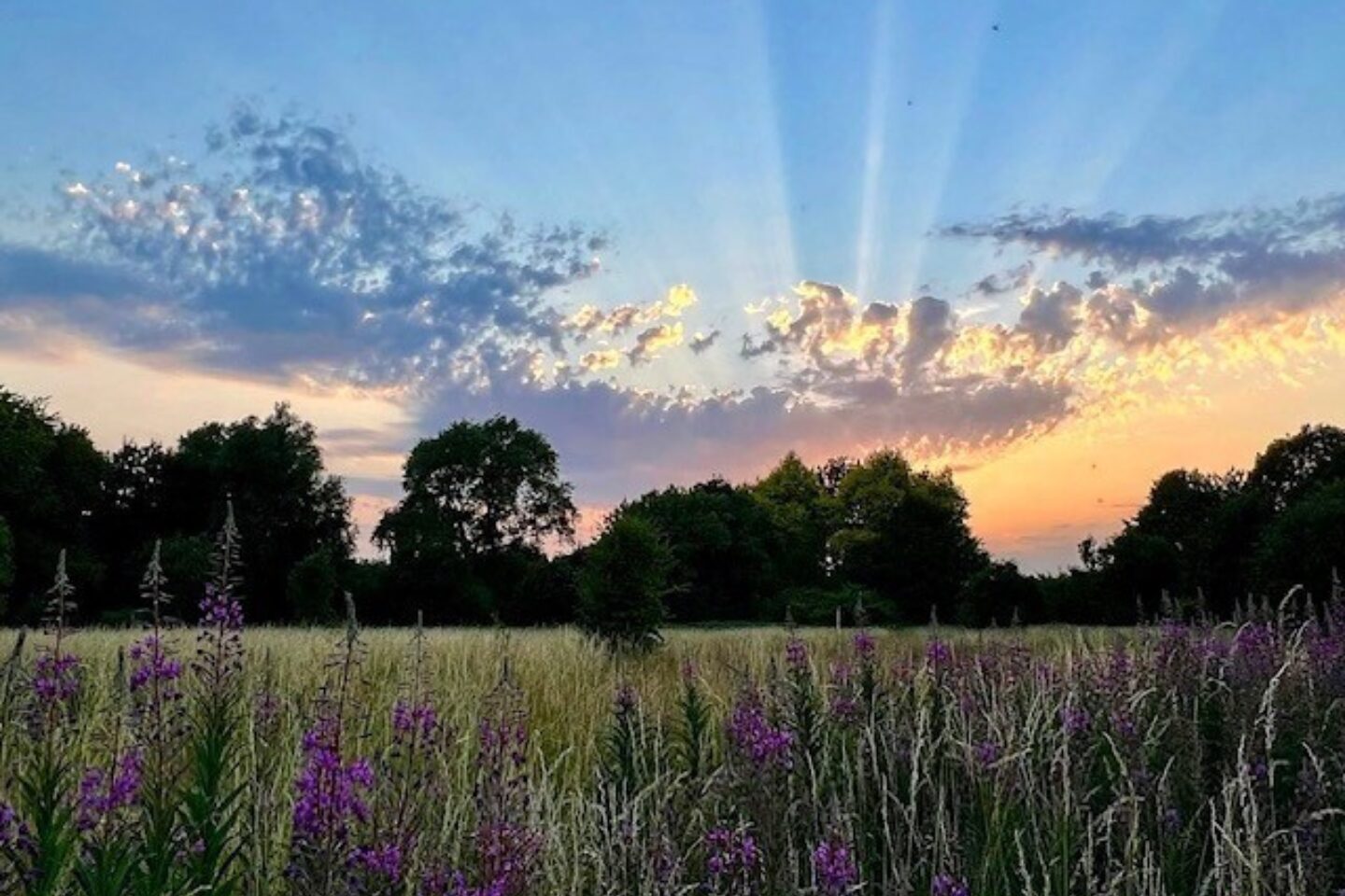 Calendar competition sunrise