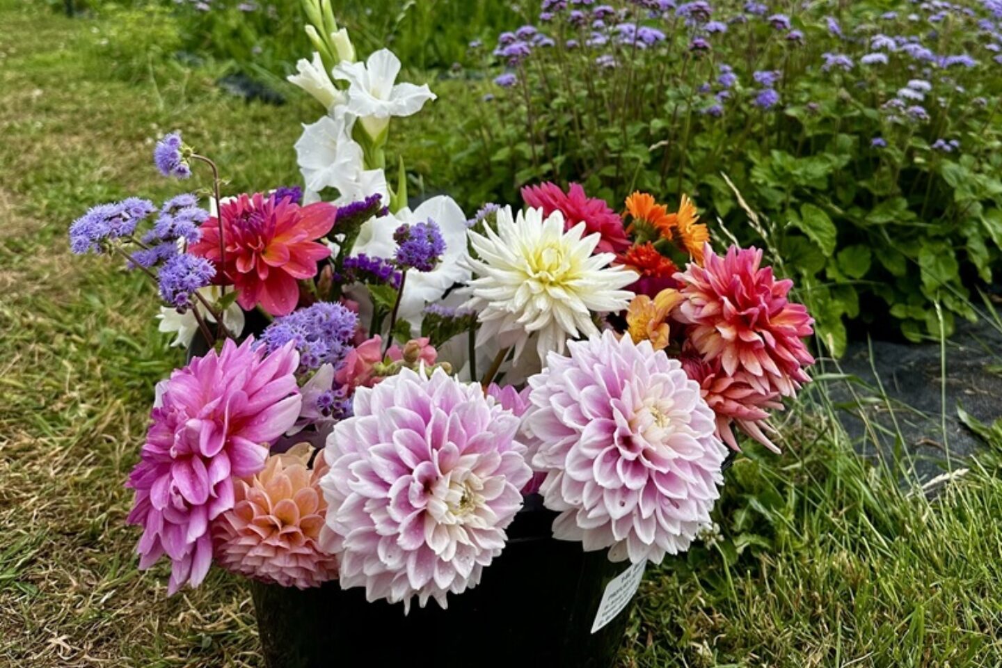 Cut flower arrangement bucket website