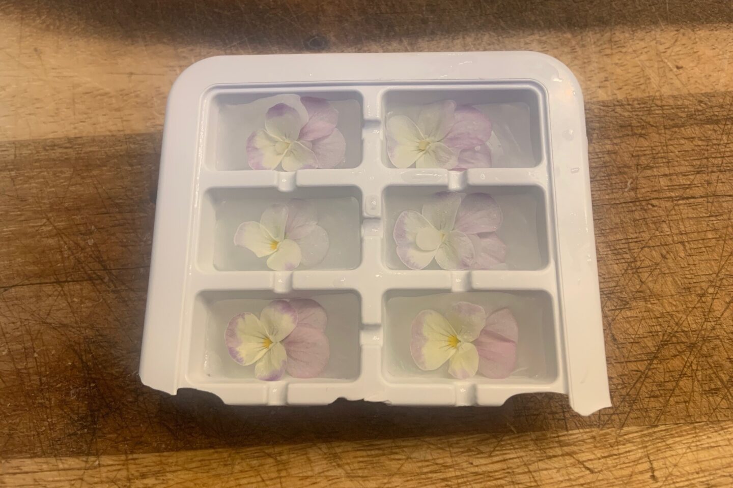 Edible flower ice cubes 4 THRIVE