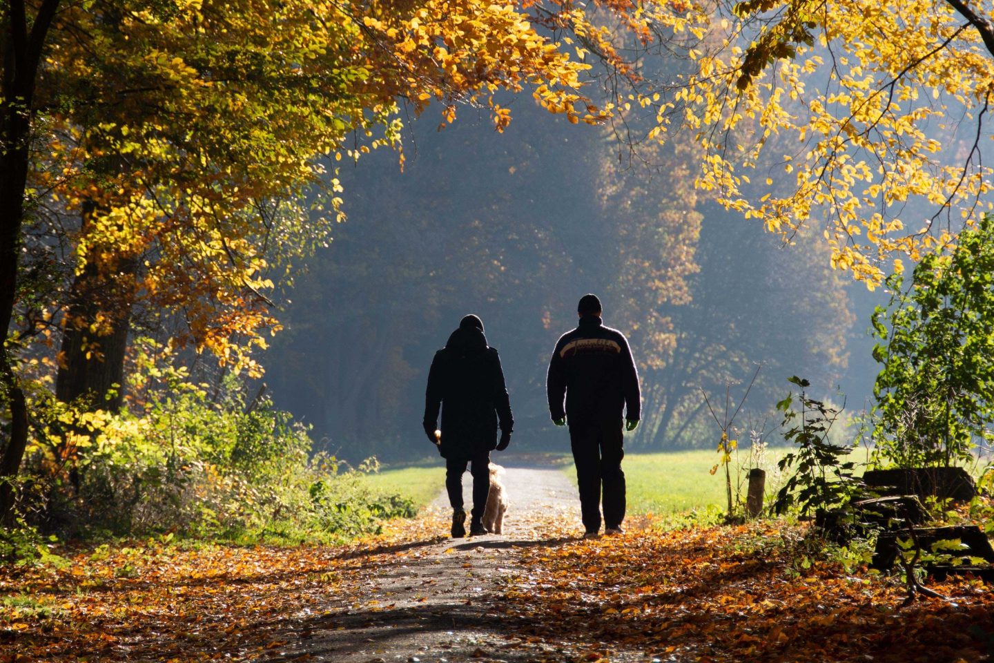 Two people walking outside in autumn