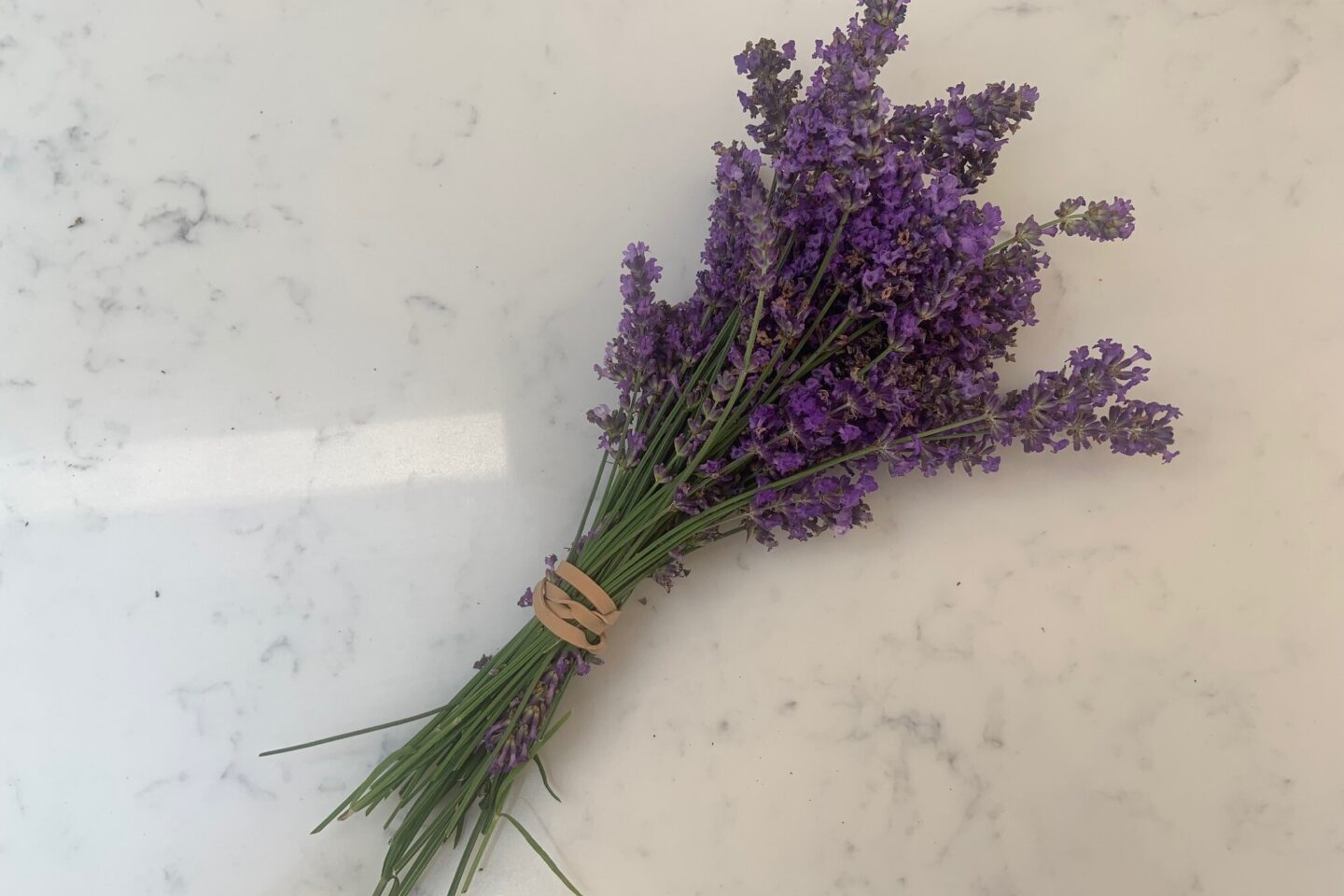 Lavender dried bunch