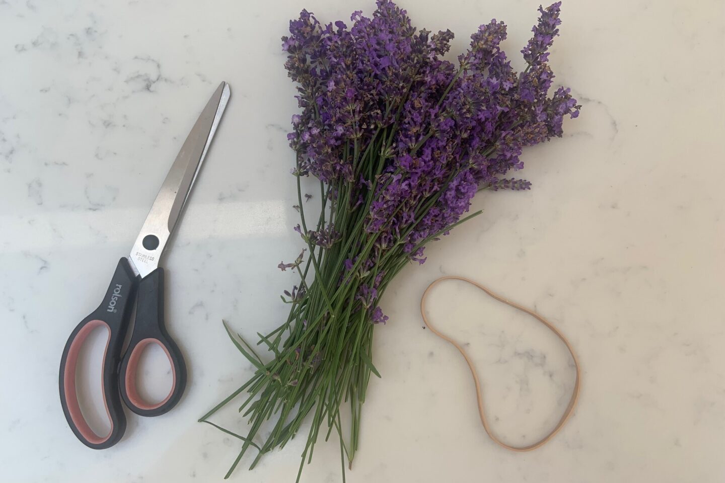 Lavender drying equipment