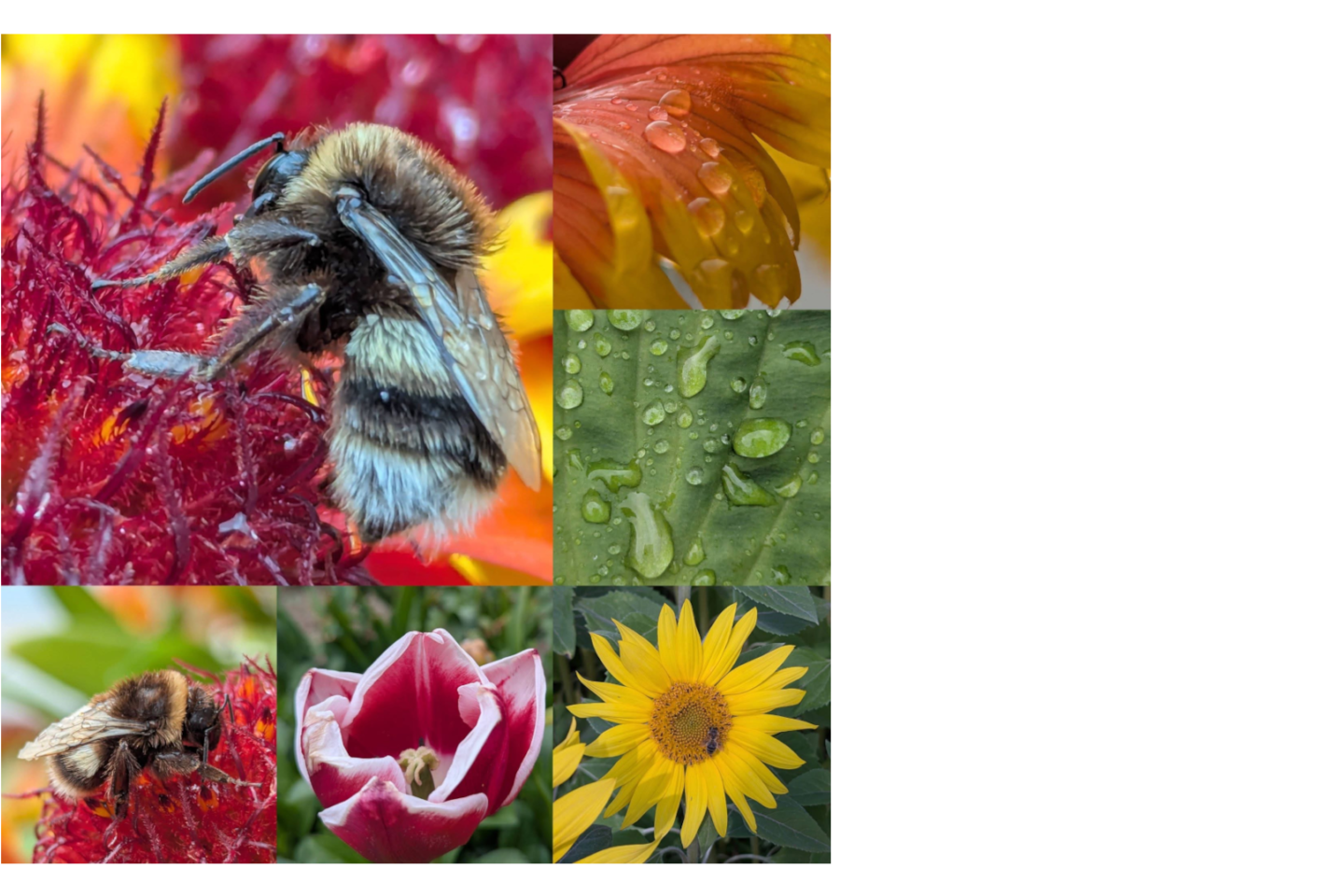 Nature photography Facebook landscape border 3