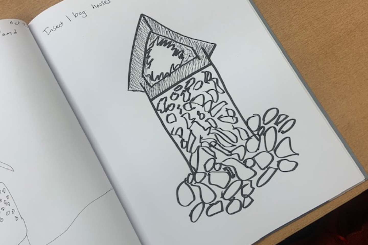 Nature sketchbook insect bug house