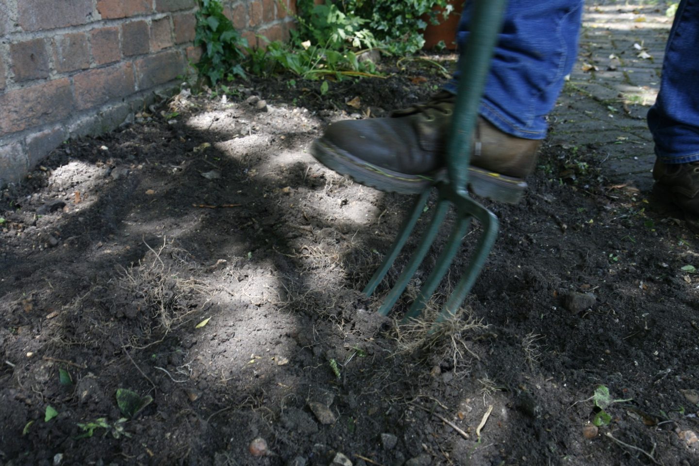 A person digs in the soil using a garden fork