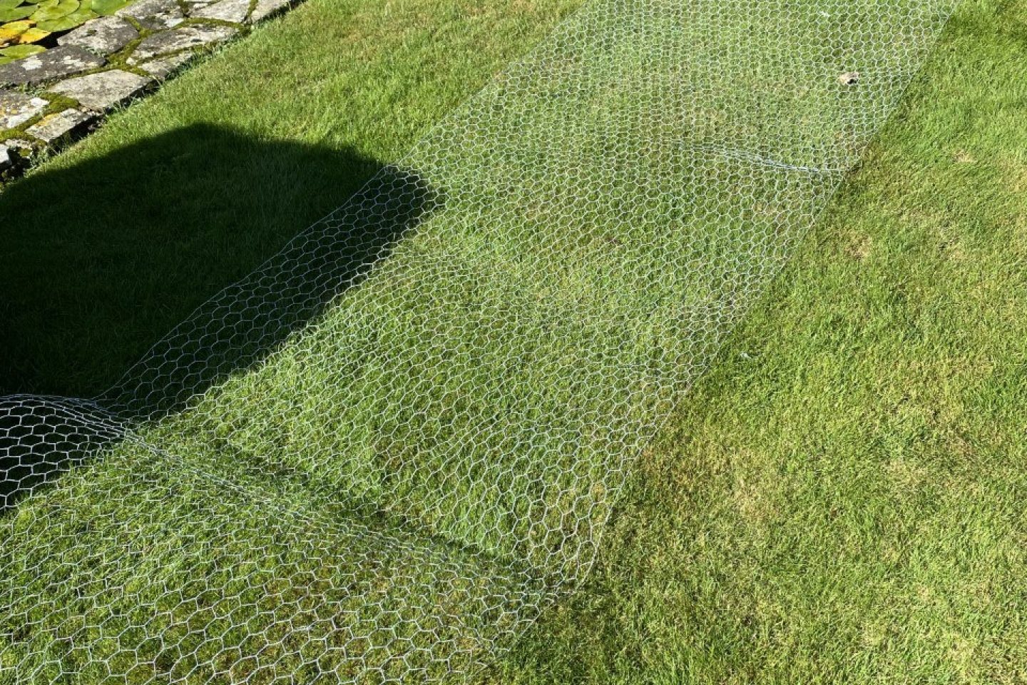 Pond netting Thrive