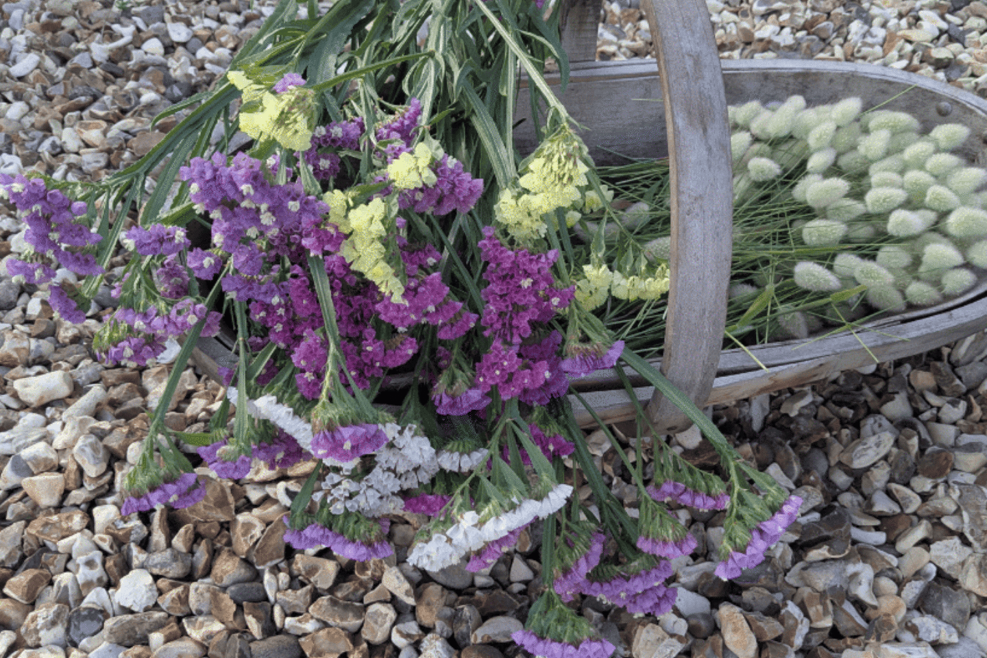 Summer Wellbeing Calendar Dried Flower Collecting SM Thrive 1