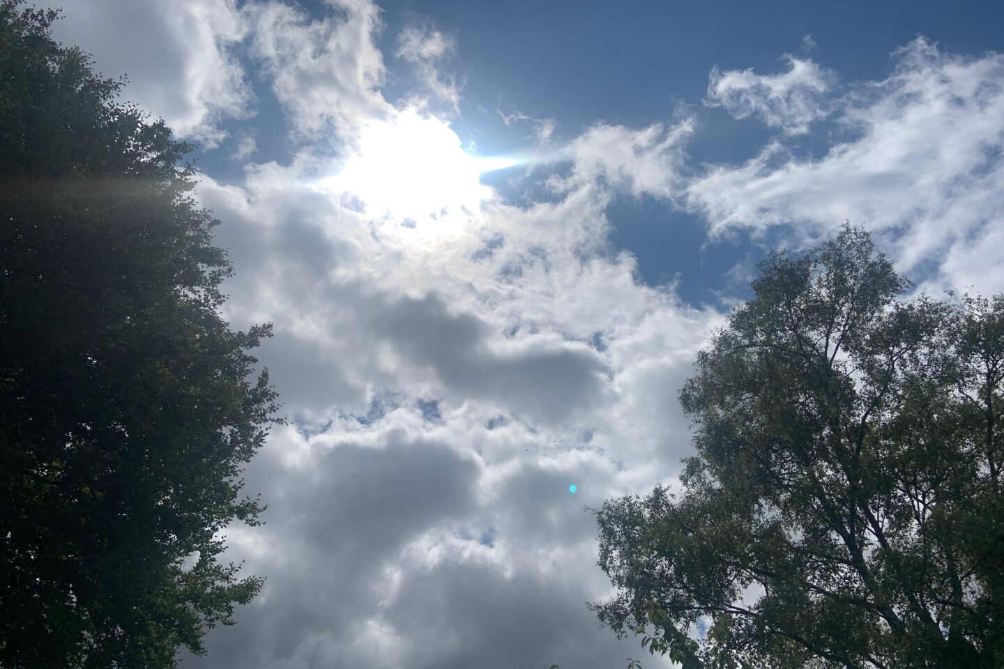 Summer cloud spotting MS THRIVE
