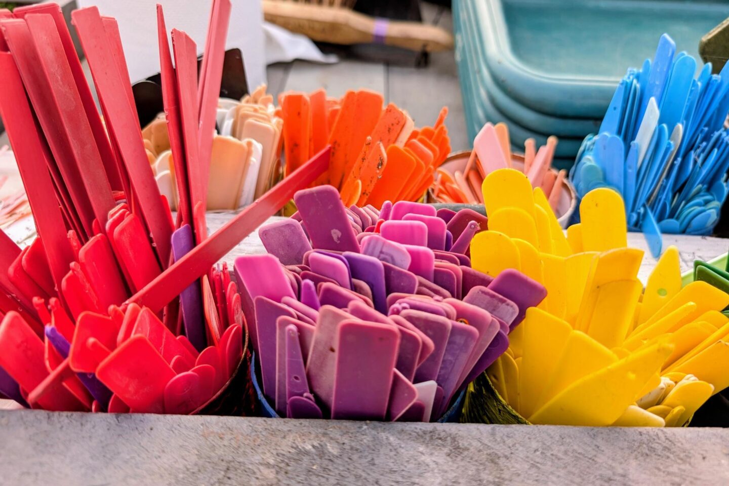 Pots of coloured plant labels
