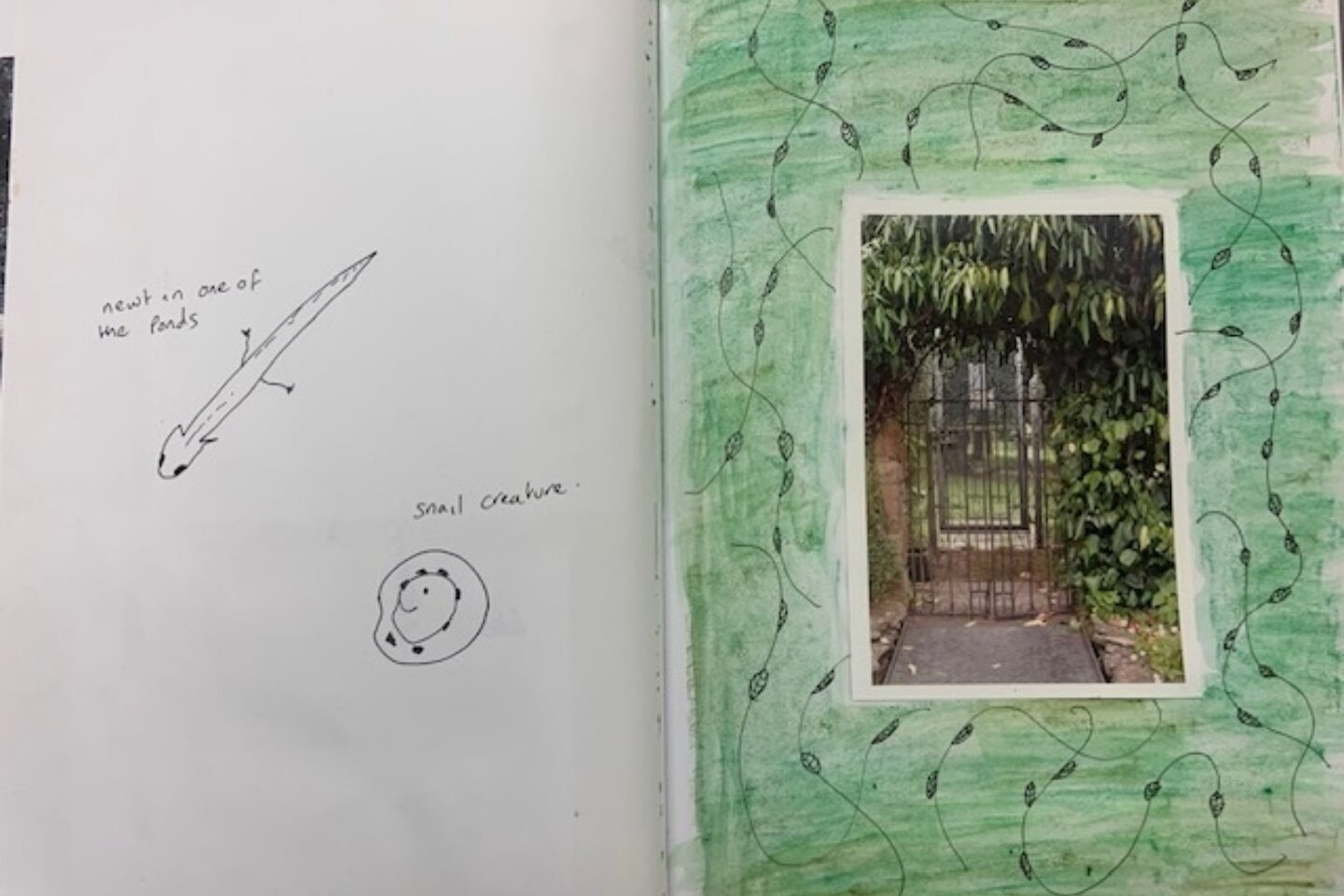 Nature sketchbook pond image