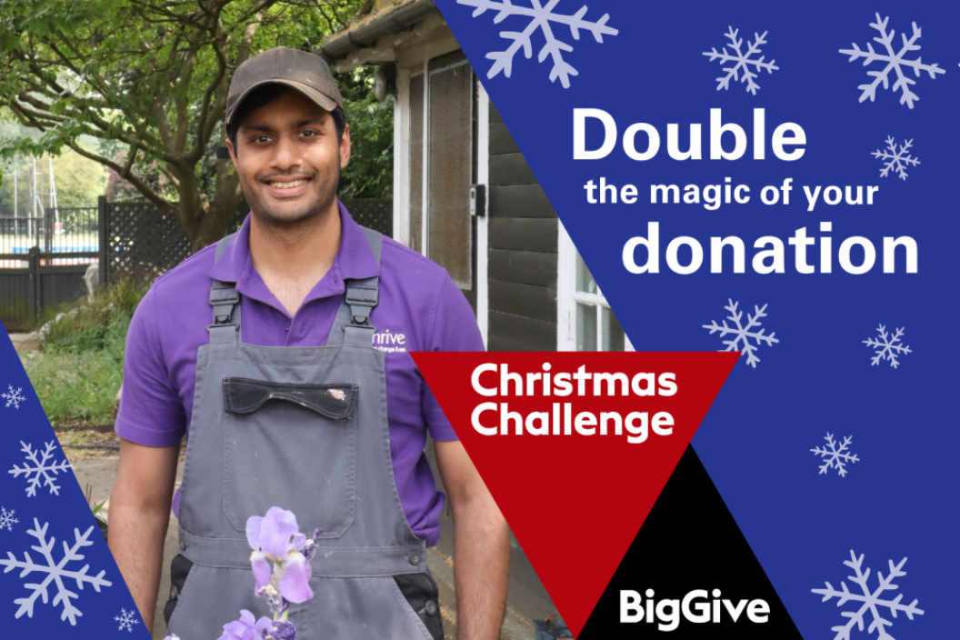 2025 Big Give Thrive Website Banner Image Arun Logo