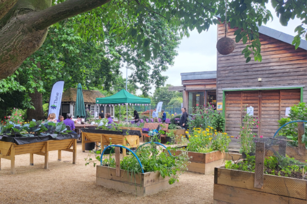 Sanctuary Garden Raised Beds