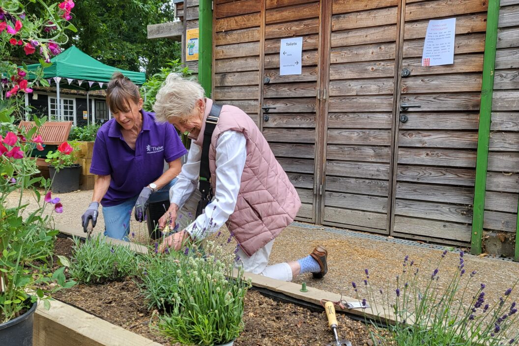 The Sanctuary Garden Volunteer with client gardener planting rosemary